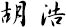胡 浩